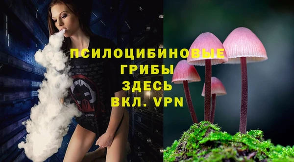 дурь Алексин